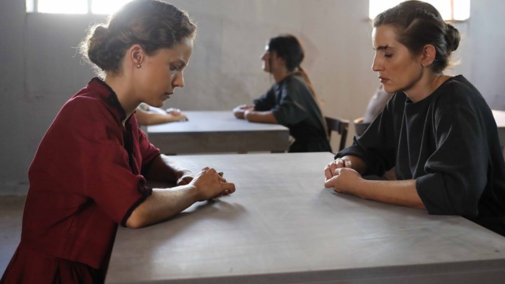 Άγριες Μέλισσες: “Πάρτι” στο twitter με memes και σχόλια – “Σφήνα” και ο… Γιάγκος Δράκος