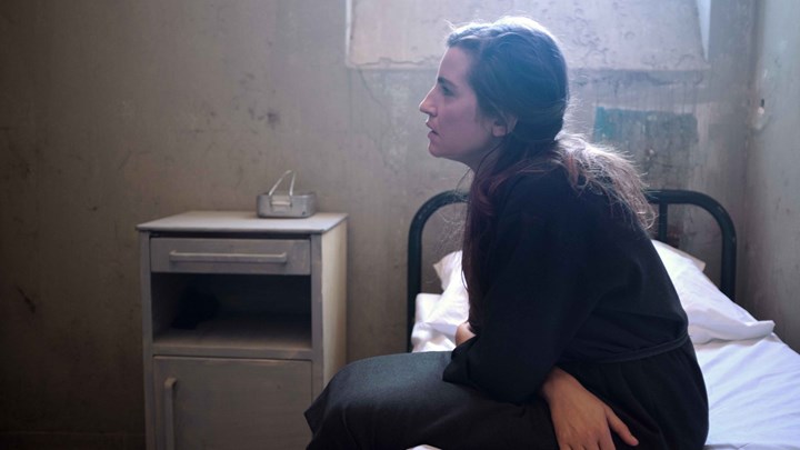 Άγριες Μέλισσες – Spoiler: Έξι χρόνια μετά στο Διαφάνι – Οι ριζικές αλλαγές στις ζωές των πρωταγωνιστών