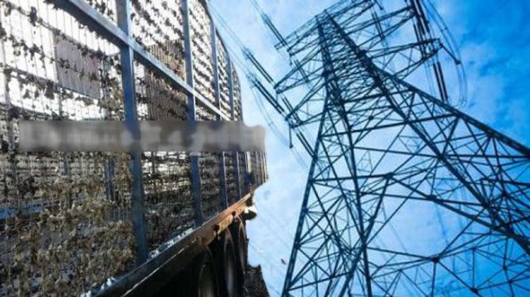 Λιβαδειά: Νεκρός 42χρονος σε δυστύχημα με καλώδια υψηλής τάσης