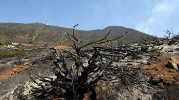 Κρήτη: Βρέθηκε απανθρακωμένο πτώμα σε χωράφι