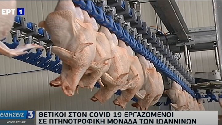 Συναγερμός στα Ιωάννινα: Κλείνει πτηνοσφαγείο της “Πίνδος” – Εργαζόμενοι βρέθηκαν θετικοί στον κορονοϊό