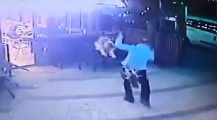 “Λυσσασμένη γάτα”: Όρμησε σε άνδρα που είχε βγάλει βόλτα τον σκύλο του – ΒΙΝΤΕΟ