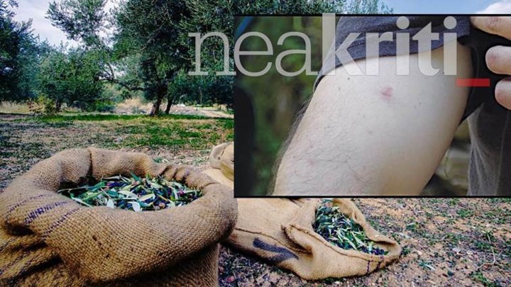 Ανησυχία στην Κρήτη: Οι κάτοικοι ενός χωριού γέμισαν με εξανθήματα – ΦΩΤΟ – ΒΙΝΤΕΟ