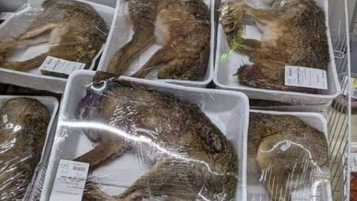 Οργή στη Γαλλία – Σούπερ μάρκετ πουλούσε ολόκληρα νεκρά ζώα με τη γούνα τους