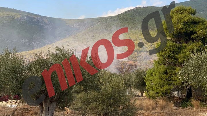 Φωτιά ΤΩΡΑ στο Πόρτο Γερμενό – ΦΩΤΟ – ΒΙΝΤΕΟ αναγνώστη