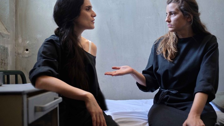 Άγριες Μέλισσες: Θα προλάβει ο Βόσκαρης να σταματήσει την απόδραση της Ελένης;