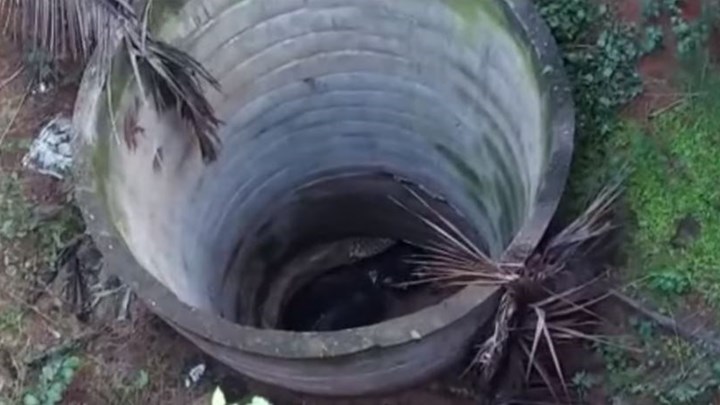 Ινδία: Ελέφαντας έπεσε σε πηγάδι – Χρειάστηκαν πάνω από 12 ώρες για τη διάσωσή του – BINTEO