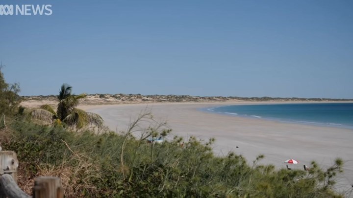 Αυστραλία: Νεκρός λουόμενος σε επίθεση καρχαρία – ΒΙΝΤΕΟ