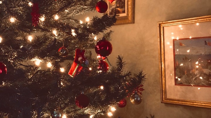 Τα ωραιότερα χριστουγεννιάτικα δέντρα της ελληνικής showbiz – ΒΙΝΤΕΟ