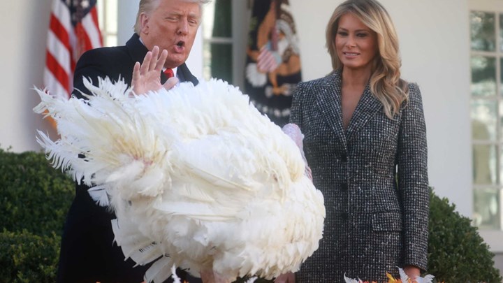 ΗΠΑ: Ο Τραμπ τήρησε την παράδοση και έδωσε χάρη σε μια γαλοπούλα, ενόψει των Ευχαριστιών