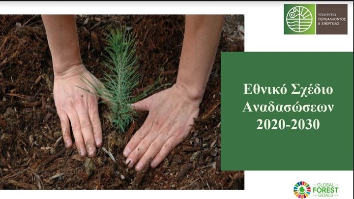 Ξεκινά το μεγαλύτερο πρόγραμμα αναδασώσεων στην Ελλάδα