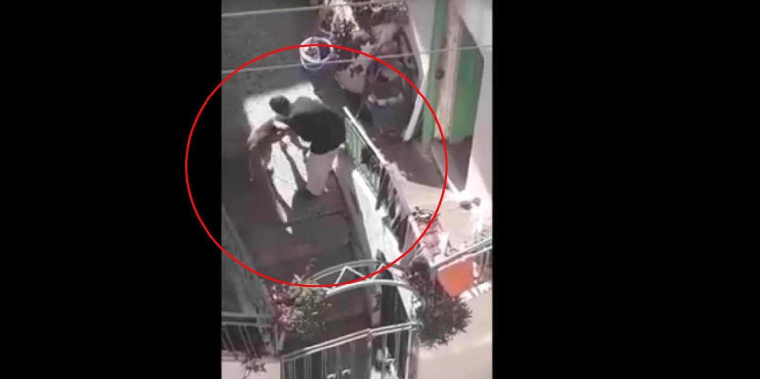 Νέα κακοποίηση ζώου στην Κρήτη: Ηλικιωμένη χτύπησε βάναυσα το σκυλί του γιου της – ΒΙΝΤΕΟ