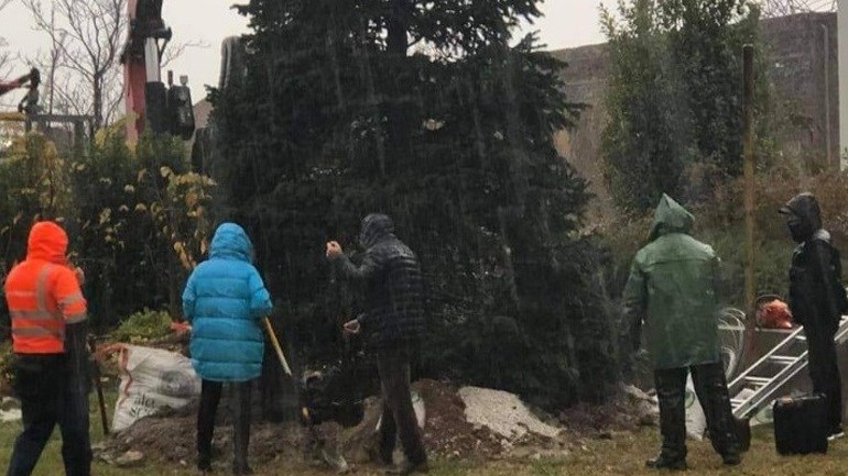 Θεσσαλονίκη: Έλατο από την Ιταλία μεταφυτεύτηκε στο κτίριο της Περιφέρειας Κεντρικής Μακεδονίας