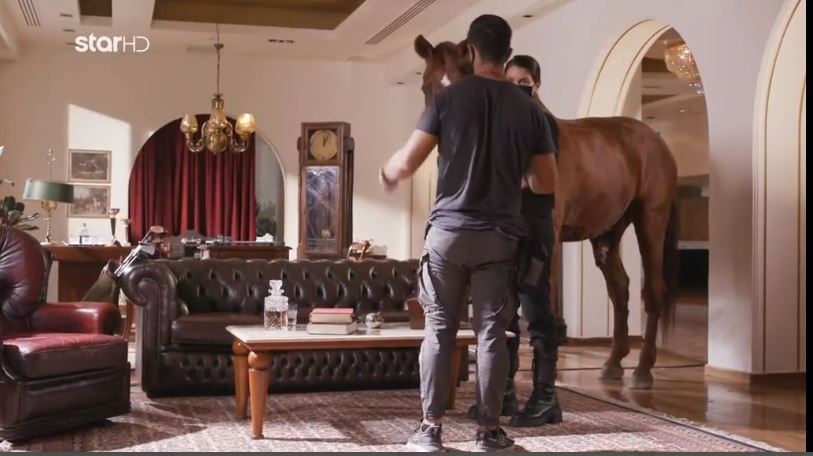 GNTM: Το ευτράπελο με το άλογο την ώρα της φωτογράφισης του Έντουαρντ – ΒΙΝΤΕΟ
