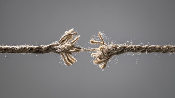 Άρθρο Μαρίας Σταματοπούλου: «Ο ιός του διχασμού»