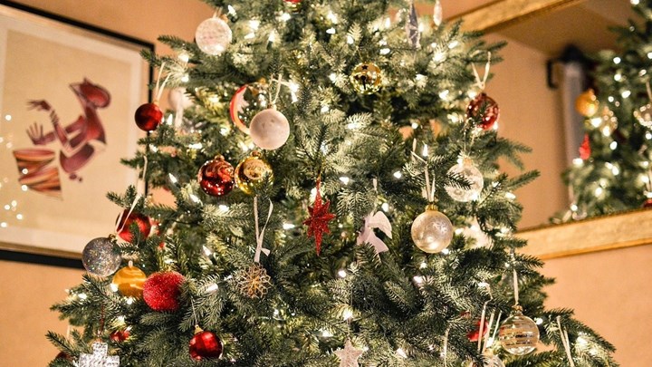 Αυτά είναι τα καλύτερα χριστουγεννιάτικα δέντρα με θέμα τον κορονοϊό – ΦΩΤΟ