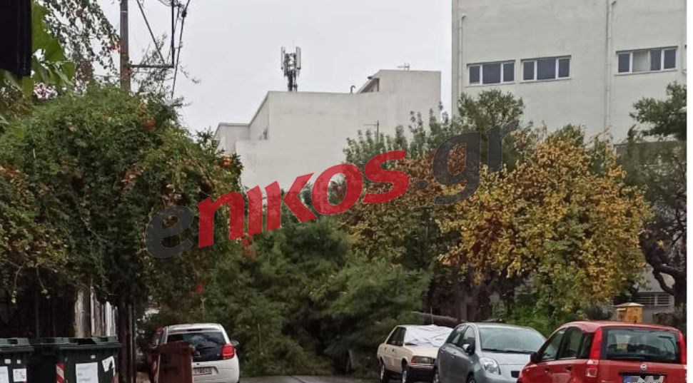 Κακοκαιρία: Δέντρο έπεσε στην οδό Ελασιδών στο Γκάζι – ΦΩΤΟ αναγνώστη