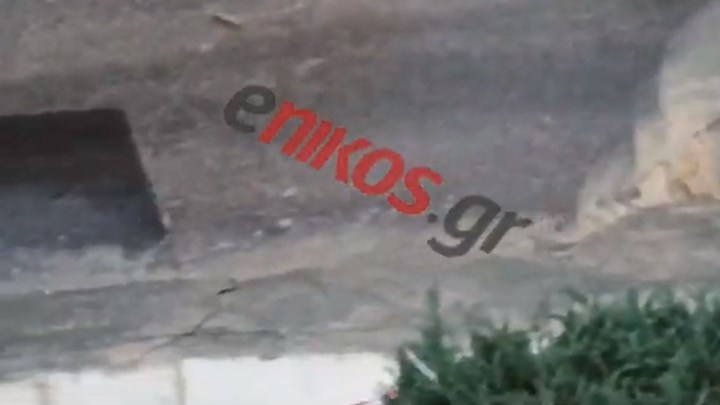 Καταγγελία αναγνώστη: Έσπασε αγωγός στο Νέο Ηράκλειο – Έμειναν χωρίς νερό τα σπίτια – ΒΙΝΤΕΟ