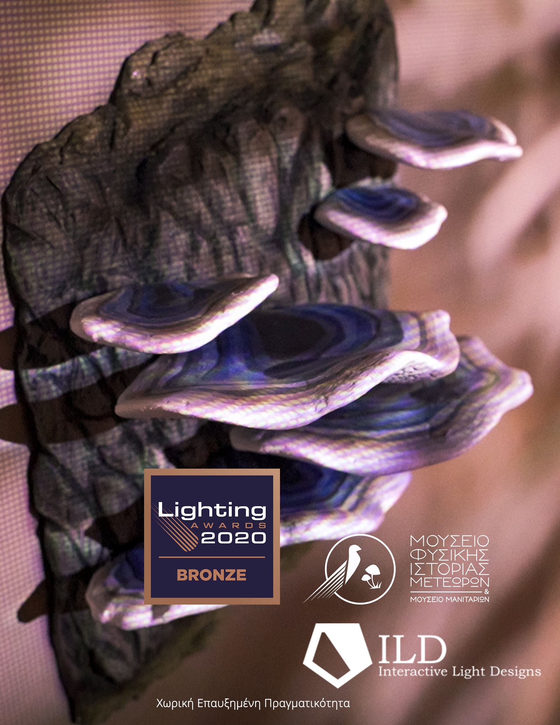 Έβδομο βραβείο στο 2020 για το Μουσείο Φυσικής Ιστορίας Μετεώρων και Μουσείο Μανιταριών