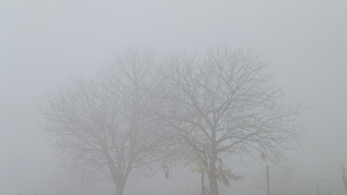 Καιρός: Βροχή, ομίχλη, παγετός – Αναλυτική πρόγνωση