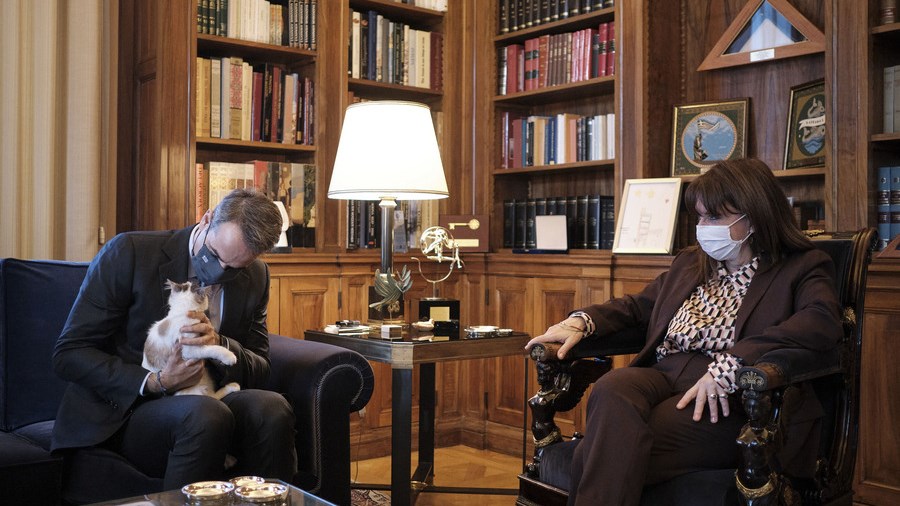 “Καλυψώ”: Η γάτα που έκλεψε την παράσταση στη συνάντηση Σακελλαροπούλου-Μητσοτάκη