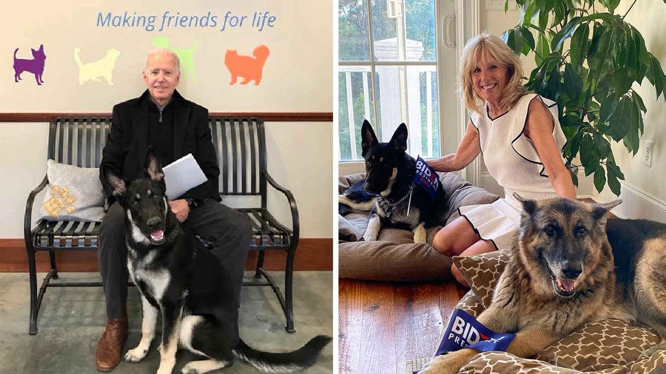 Τσαμπ και Μέιτζορ: Οι δύο γερμανικοί ποιμενικοί του Μπάιντεν που θα μένουν στον Λευκό Οίκο