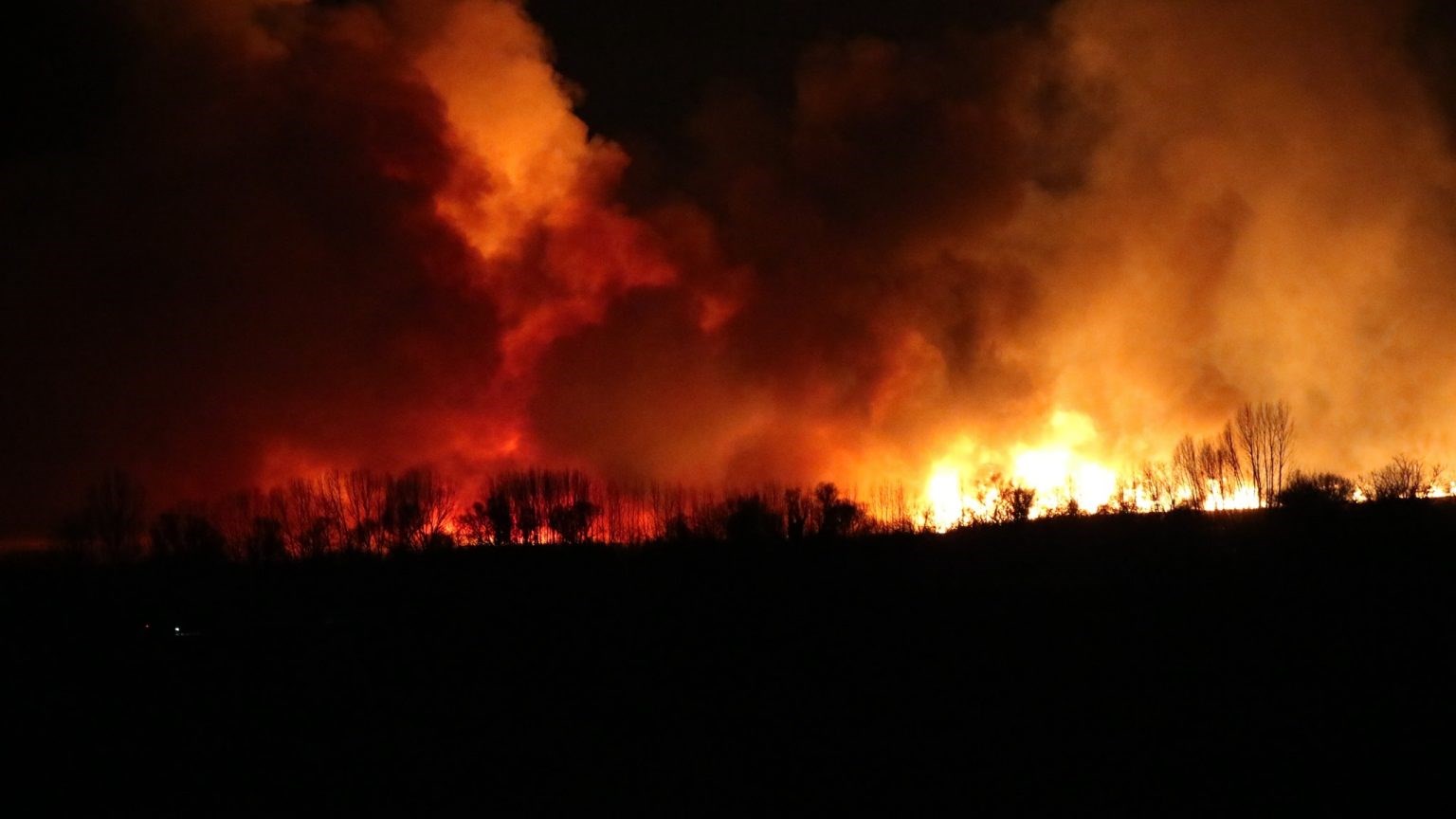 Κόρινθος: Καίει ανεξέλεγκτη η φωτιά στη λίμνη Στυμφαλίας για δεύτερη ημέρα – ΦΩΤΟ – ΒΙΝΤΕΟ