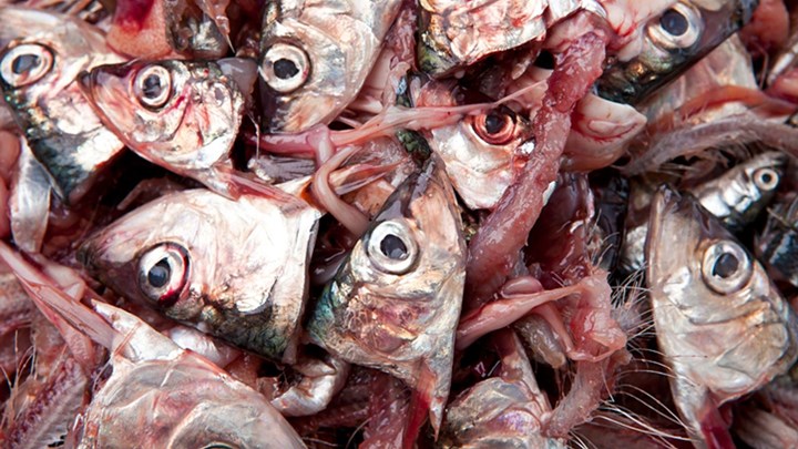 Κορονοϊός: Αποκαλύφθηκε και νέο σύμπτωμα – Τι είναι η παροσμία και πώς επηρεάζει