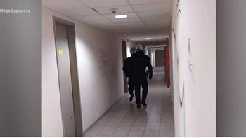 Πανεπιστημιούπολη Ζωγράφου: Οκτώ συλλήψεις κατά την αστυνομική έφοδο – Τα ευρήματα και η δικογραφία