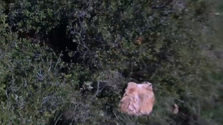 Βίλια: 38χρονη Κινέζα η γυναίκα που βρέθηκε νεκρή σε βαλίτσα – Τι έδειξε η ιατροδικαστική εξέταση