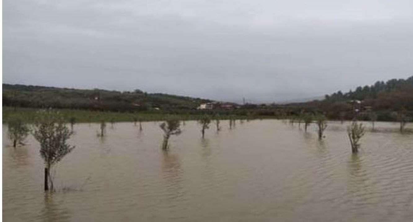 Κακοκαιρία: Σοβαρά προβλήματα στην Αμφιλοχία – ΦΩΤΟ