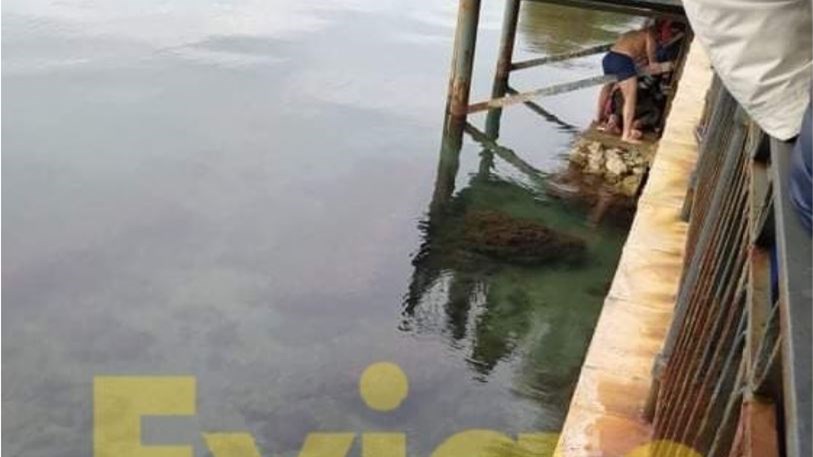 Θεοφάνια – Εύβοια: 30χρονος έπεσε να πιάσει τον σταυρό και τραυματίστηκε σοβαρά στον αυχένα – ΒΙΝΤΕΟ