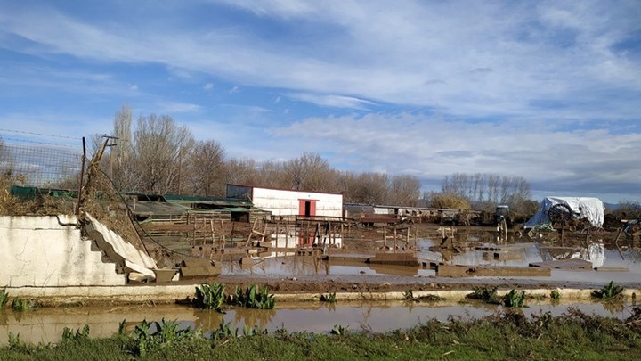 Τεράστιες καταστροφές στη Ροδόπη: Πνίγηκαν ζώα σε κτηνοτροφικές μονάδες – ΦΩΤΟ