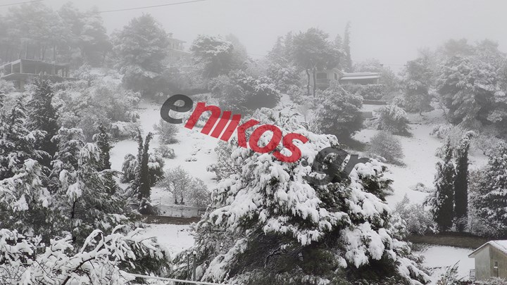 Ο “Λέανδρος” έντυσε στα λευκά την Αττική – ΦΩΤΟ και ΒΙΝΤΕΟ αναγνωστών από τον Υμηττό και το Πολυδένδρι