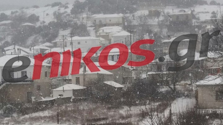 Η κακοκαιρία “Λέανδρος” έντυσε στα λευκά και την Ελασσόνα – ΦΩΤΟ και ΒΙΝΤΕΟ αναγνώστη