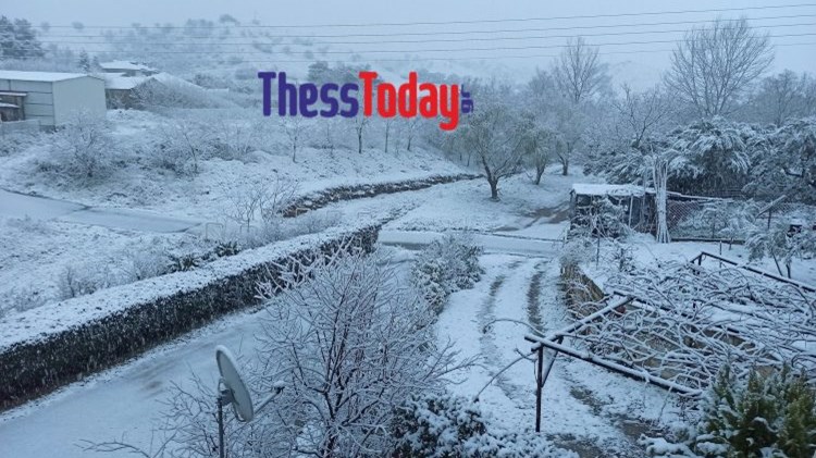 “Λέανδρος”-Θεσσαλονίκη: Δύο αδέλφια εγκλωβίστηκαν στα χιόνια – Επιχείρηση της Πυροσβεστικής