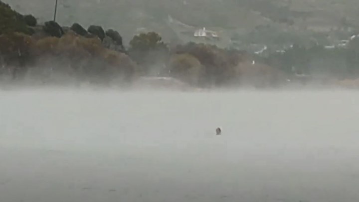 Λέσβος: Τολμηροί χειμερινοί κολυμβητές έκαναν μπάνιο στη θάλασσα την ώρα που χιόνιζε- ΒΙΝΤΕΟ