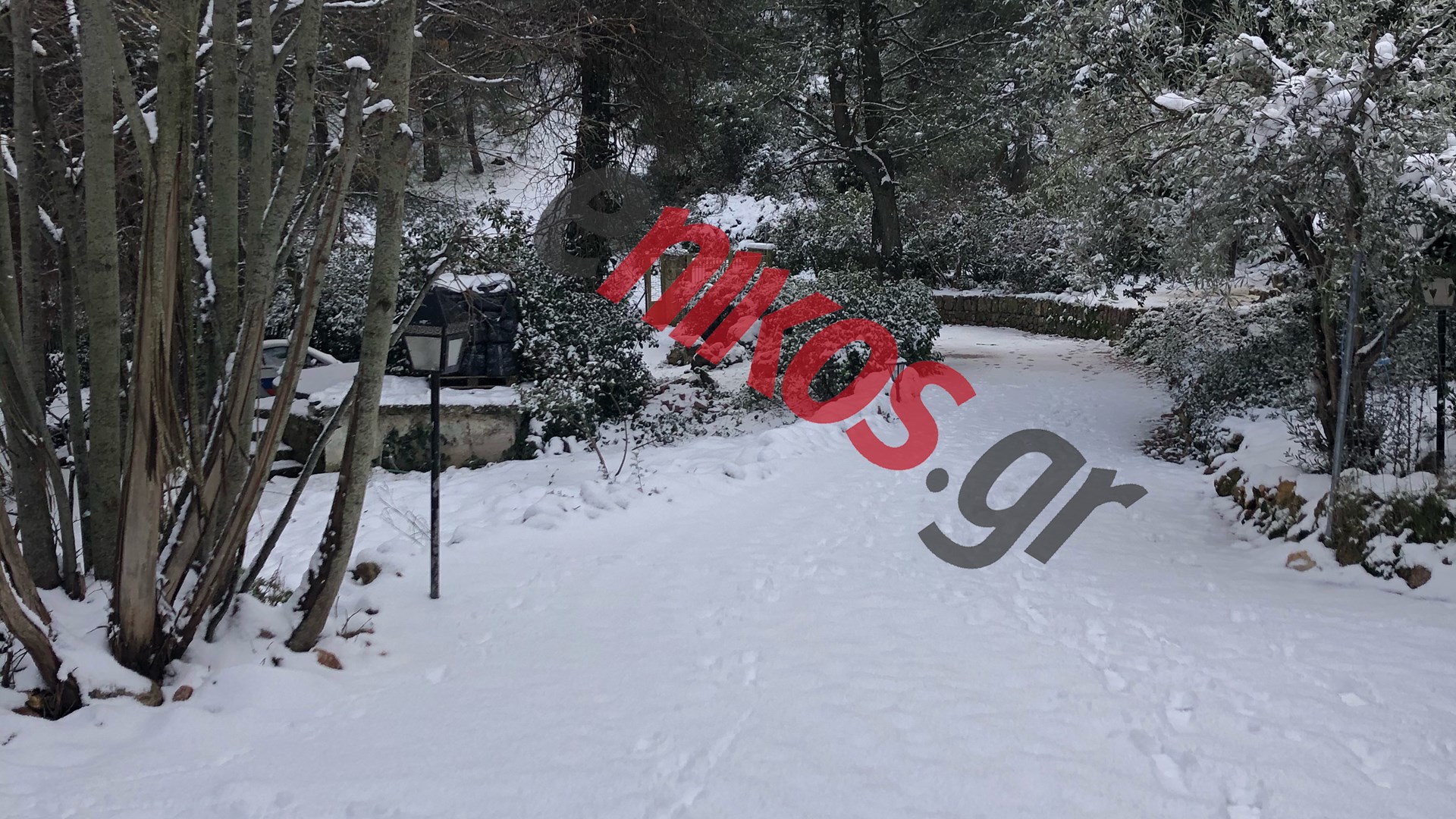 Κατάλευκο το τοπίο στα Κιούρκα – ΦΩΤΟ αναγνώστη