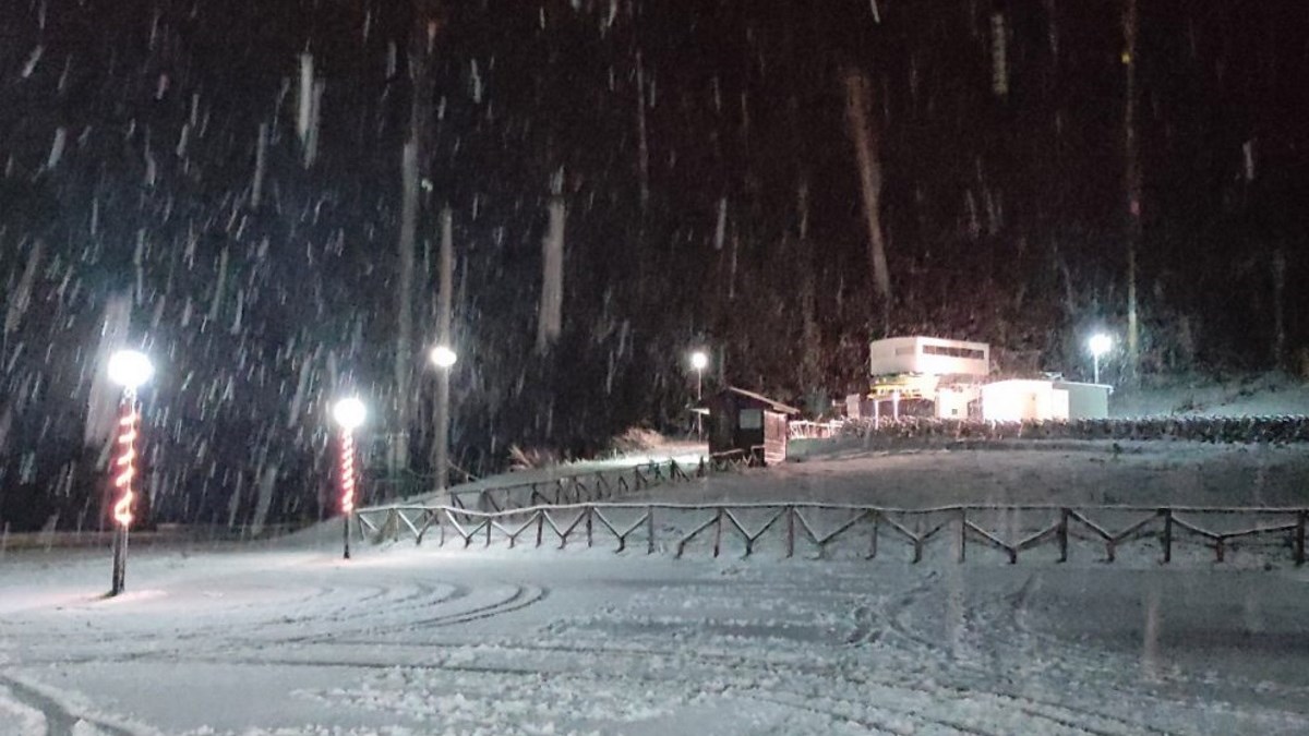 Καιρός: Έντονη χιονόπτωση στα Τρίκαλα – ΒΙΝΤΕΟ