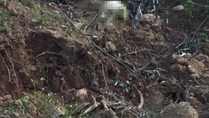 Κρήτη: Θρίλερ με μακάβριο εύρημα σε κοίτη ποταμού