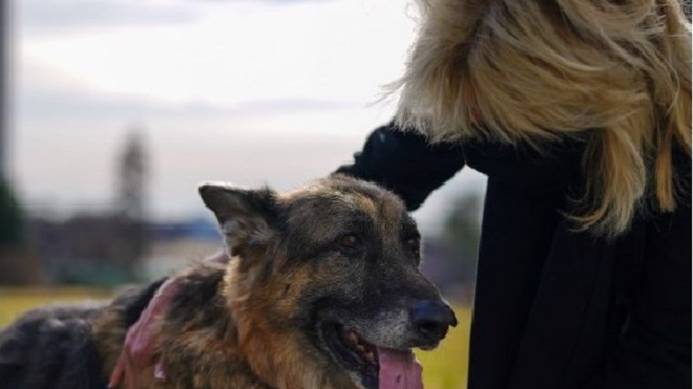 Αυτοί είναι οι δύο νέοι συγκάτοικοι του ζεύγους Μπάιντεν στον Λευκό Οίκο – ΦΩΤΟ