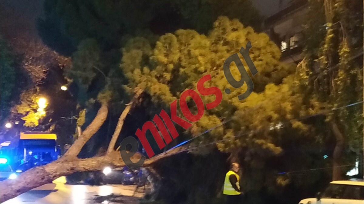 Χαλκηδόνα: Πτώση δέντρου στη Λεωφόρο Δεκελείας – ΦΩΤΟ αναγνώστη