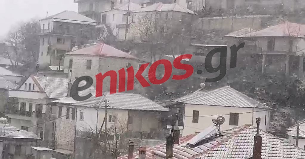 Κακοκαιρία: Πυκνή χιονόπτωση στο Λιβάδι Ελασσόνας – ΒΙΝΤΕΟ αναγνώστη