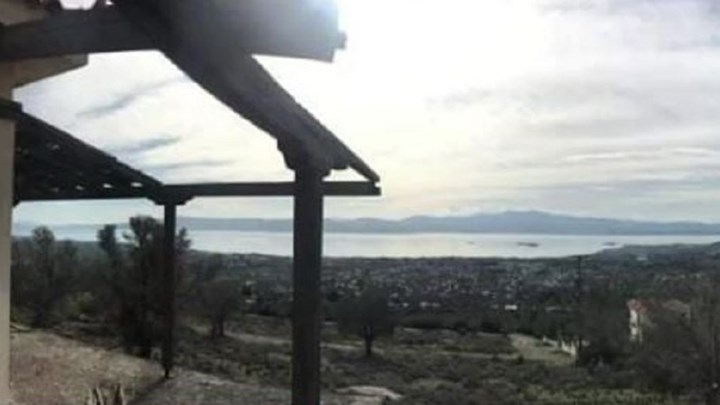 Σήφης Βαλυράκης: Στο «μικροσκόπιο» φωτογραφία-ντοκουμέντο – Τι υποστηρίζει η γυναίκα που την τράβηξε