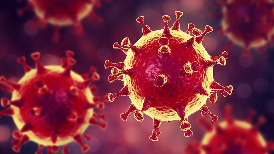 Κορονοϊός – Θαψιγαργίνη: Νέες ελπίδες από ένα παλιό φάρμακο στη “μάχη” κατά του ιού