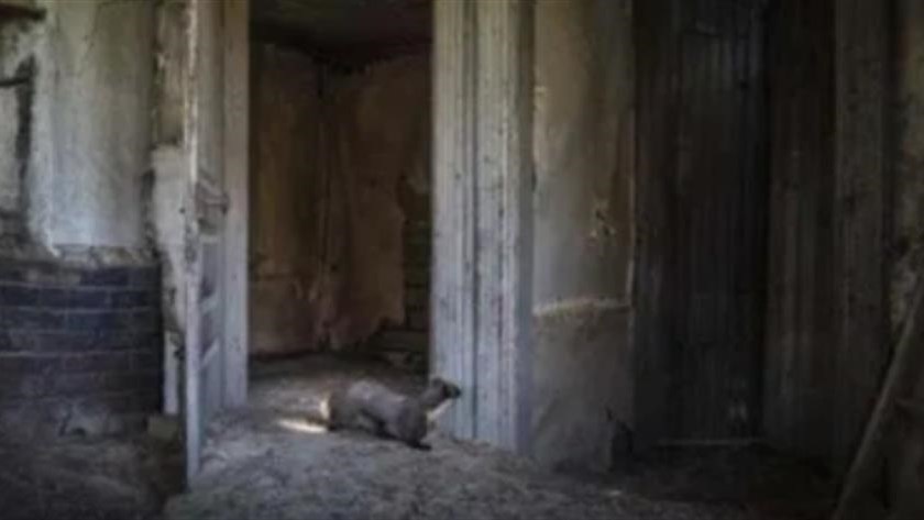 Χαλκίδα: Θρίλερ με πτώμα σε ακατοίκητο σπίτι