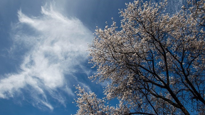 Καιρός: Αίθριος με αραιές νεφώσεις – Πού θα ξεπεράσει τους 20 βαθμούς Κελσίου η θερμοκρασία