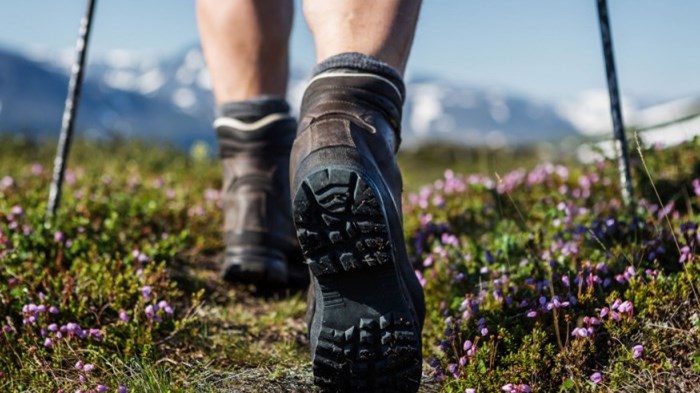 Πήλιο: Η σύζυγος “έκαψε” τους πεζοπόρους – Τσουχτερά πρόστιμα μετά τις καταγγελίες της