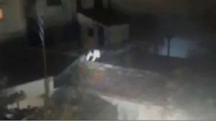 Κορονο-πάρτι στον Βόλο: Καλεσμένοι ανεβαίνουν στα… κεραμίδια για να γλιτώσουν το πρόστιμο