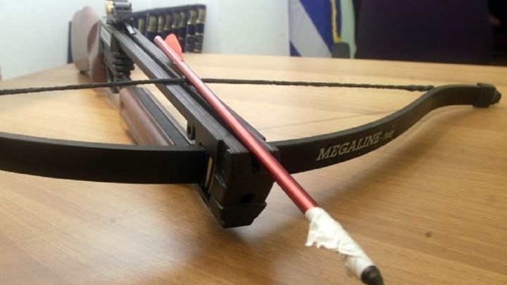 Βόλος: Νέα επίθεση εναντίον σκύλων με τόξο